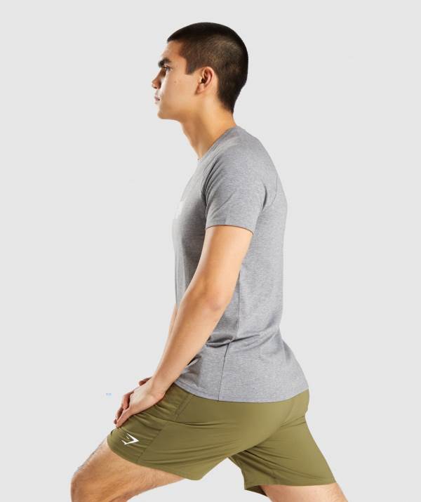 Panske Tricka Gymshark Apollo Siva | PZ6519420